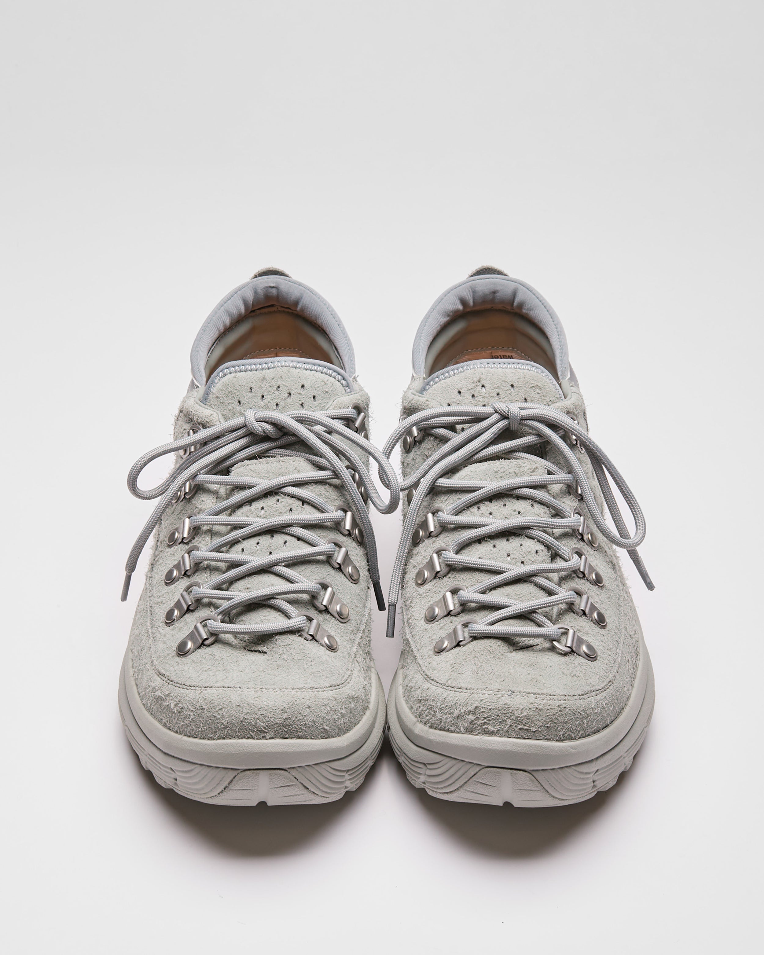 BEETLE-ev-LO (OG-424ev)