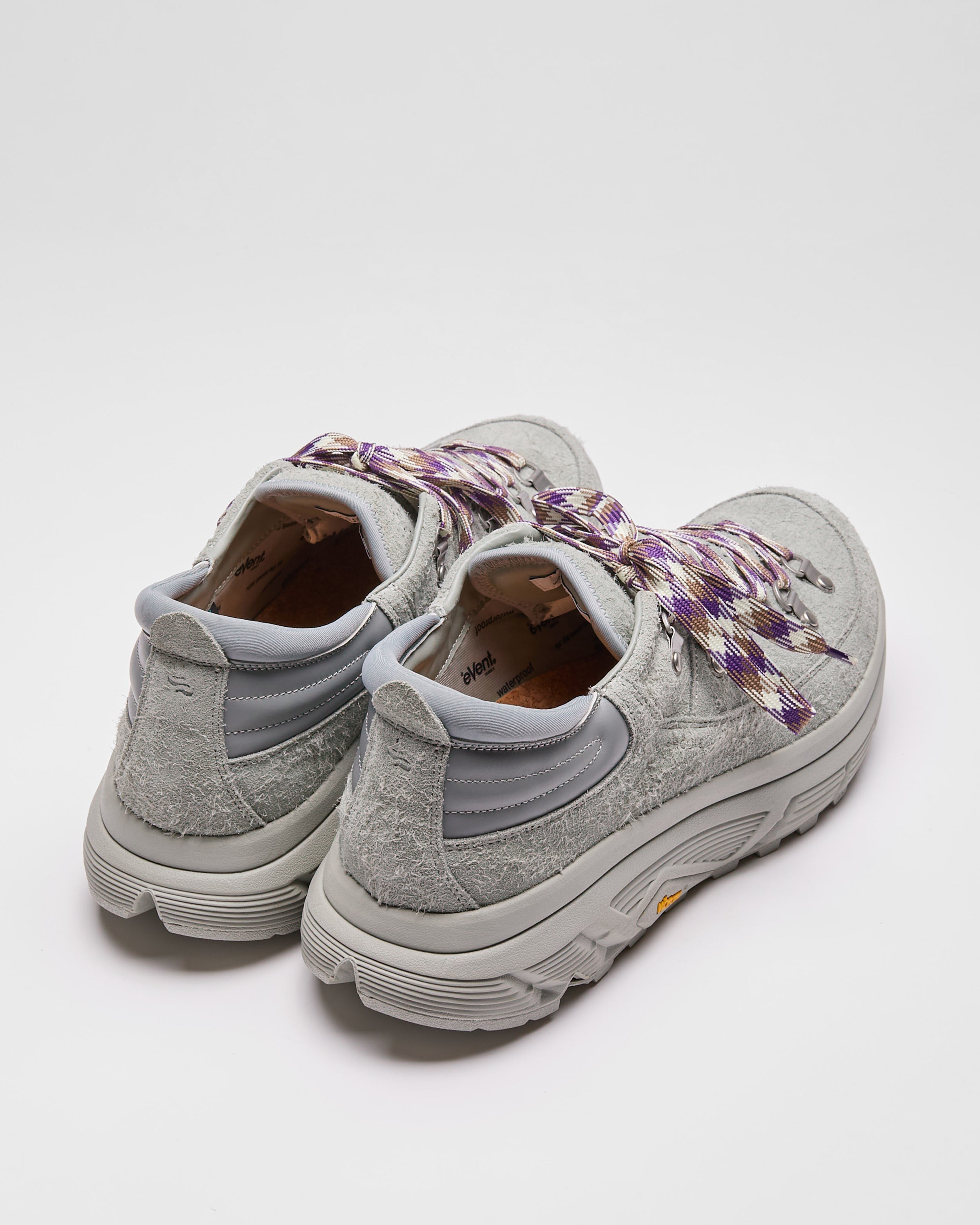 BEETLE-ev-LO (OG-424ev)